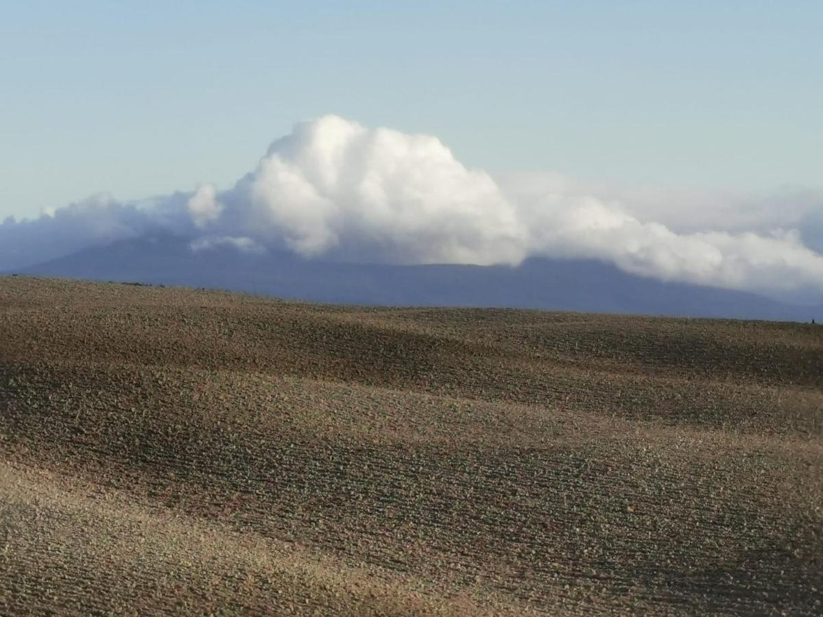 Goccia In Valdorcia Smart Home San Quirico d'Orcia Luaran gambar